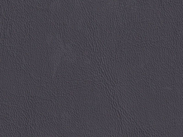 Scepter coal 140 cm  30 lfm pro Rolle